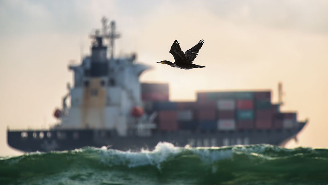 U8国际 Farm OS订阅 服务图片